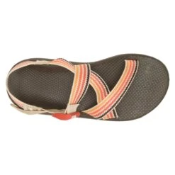 Chaco Men's Z Cloud Sandal - Scoop Dusk - Regular (D) -Birkenstock Shop CHAM JCH108677 012422 S23 TOP 1